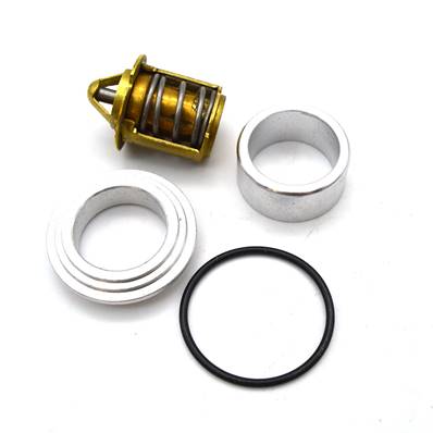 Thermostat d'eau Thor 250 LC